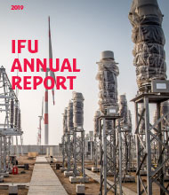 IFU Annual Report 2019